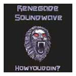 Renegade Soundwave - How You Doin?